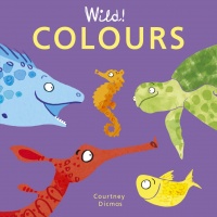 Cover image for Colours