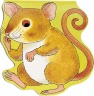 Cover image for Pocket Mouse